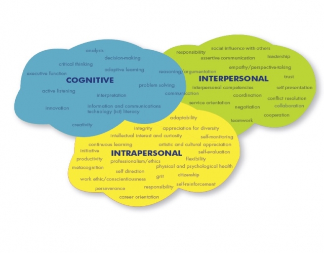 Designing excellent educational experiences in a particular subject domain requires explicit consideration of cognitive, intrapersonal and interpersonal competencies.  (Figure courtesy of Jim Pellegrino)